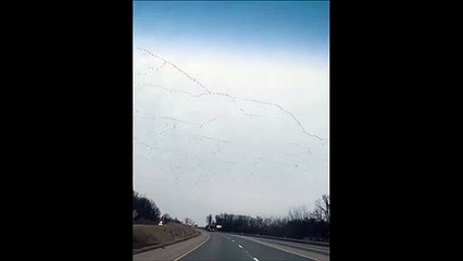 Download Video: Des oiseaux migrateurs forment un magnifique motif dans le ciel