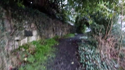 David William - Beyond The Waves