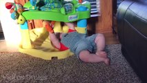 Los bebés más lindos de la historia Videos divertidos - Los bebés nos hacen reír