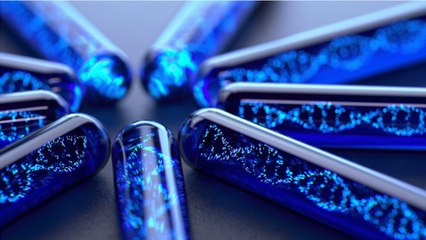 Virus With 90% Unrecognizable DNA Discovered In Brazil