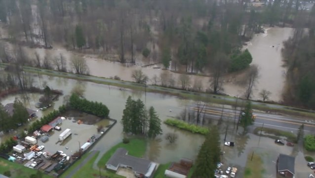 Forest turns into swamp following river flooding