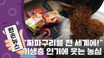 [15초뉴스] 농심은 계획이 다 있구나! '짜파구리' 화제 / YTN