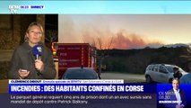 En Corse, les vents violents ont attisé des incendies, forçant le confinement d'habitants