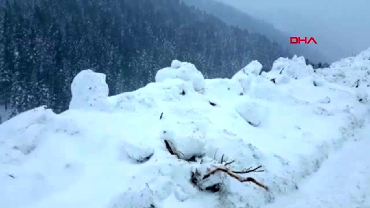 Gümüşhane zigana dağı'na çığ düştü, yol kapandı