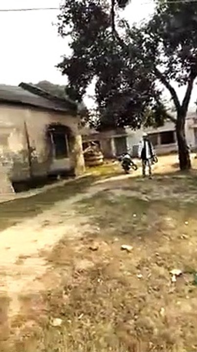 Great funny and comedy video
