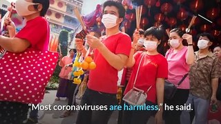 coronavirusWhate Is Coronavirus ? | Symptoms Of Coronav|irus |ful informationofcoronavirurs