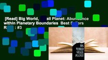 [Read] Big World, Small Planet: Abundance within Planetary Boundaries  Best Sellers Rank : #3