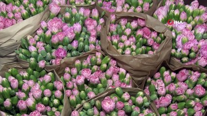 Kesme çiçek üreticilerine Sevgililer Günü dopingi