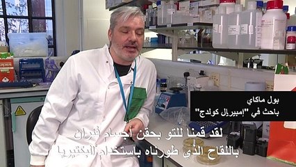 باحثون في لندن يجربون لقاحا ضد كورونا على الفئران