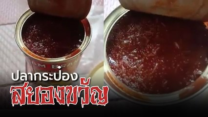 อุทาหรณ์ ! ปลากระป๋อง เช็กให้ชัวร์ก่อนกิน... ระวังจะพบความสยอง
