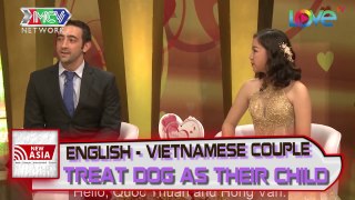 English-Vietnamese couple treat dog as their child