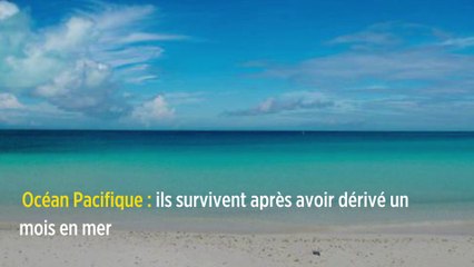 Océan Pacifique : ils survivent après avoir dérivé un mois en mer