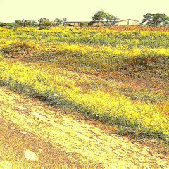 NewNew rap song @sleem jaisejam @ by thethe royal king ofof music