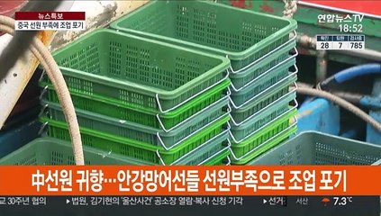 "선원이 없어요"…신종코로나 때문에 발 묶인 어선