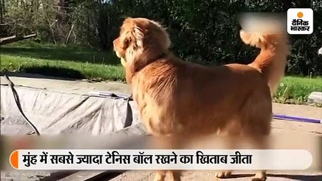 मुंह में छह गेंद रखकर फिन्ले ने बनाया गिनीज रिकॉर्ड