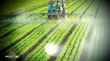 يوميات الفلاح - 12/02/2020