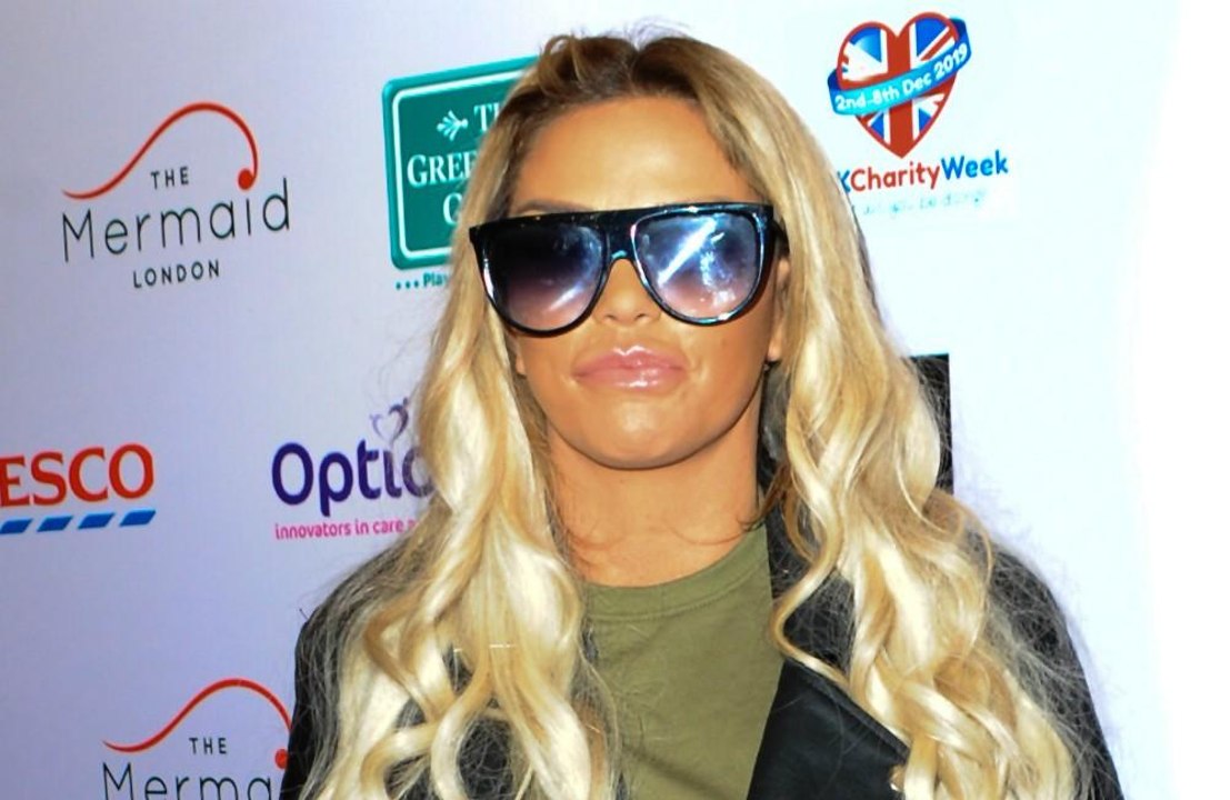 Katie Price: Nanny-Suche im Netz