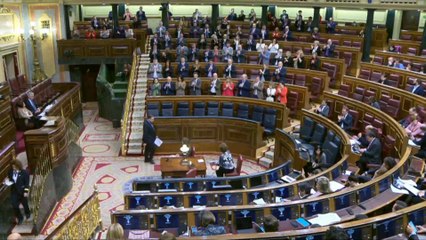 Diputados gritan 'dimisión' a Ábalos