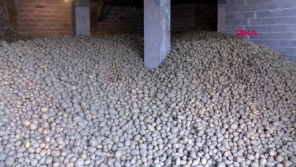 Nevşehir'de patates depolarda alıcı bekliyor