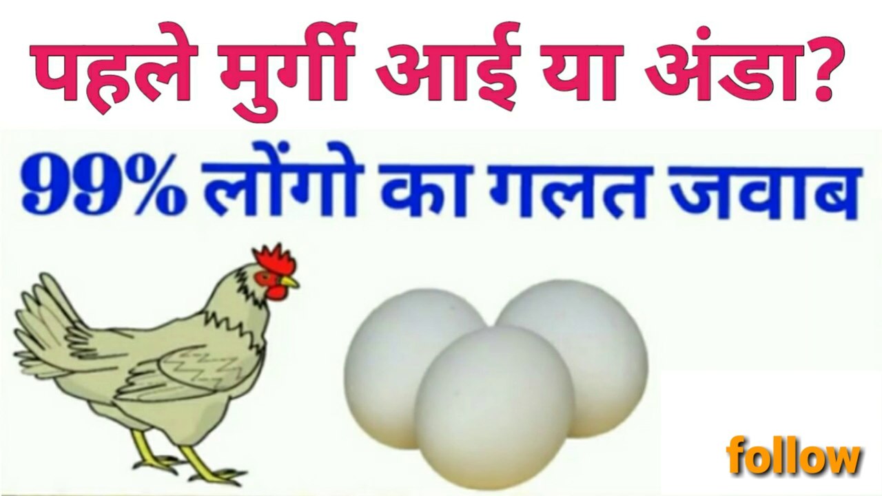 पहले मुर्गी आई या अंडा? / which come frist chicken or egg