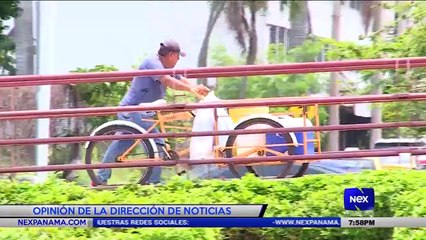 Importación de talentos propuesta por empresarios  - Nex Noticias