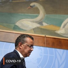 WHO warns of 'very grave' global virus threat