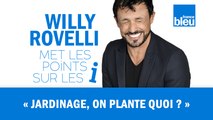 HUMOUR | Jardinage, on plante quoi ? Willy Rovelli met les points sur les i