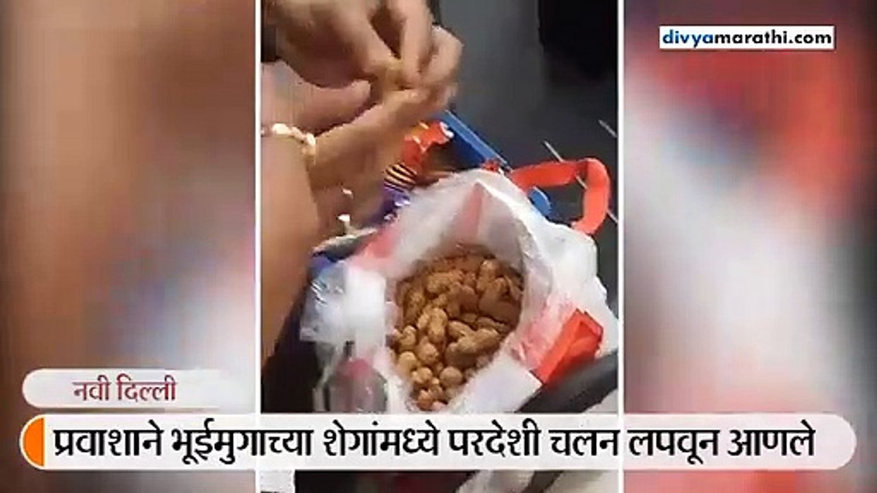दुबईवरुन आलेल्या प्रवाशाने भूईमूगाच्या शेगांमध्ये लपवून आणले 45 लाख रुपयांचे परदेशी चलन
