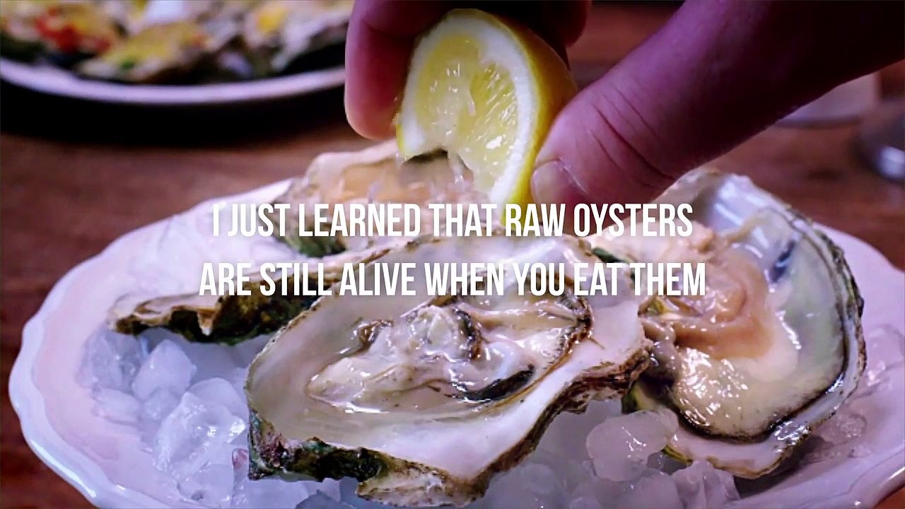 I Just Learned That Raw Oysters Are Still Alive When You Eat Them video Dailymotion