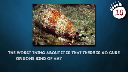 If You See This, Run Fast and Ask for Help!