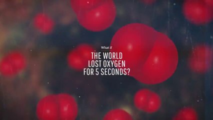 What If the World Lost Oxygen for Five Seconds