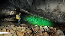 Scientists Discover World's Largest Cave Fish