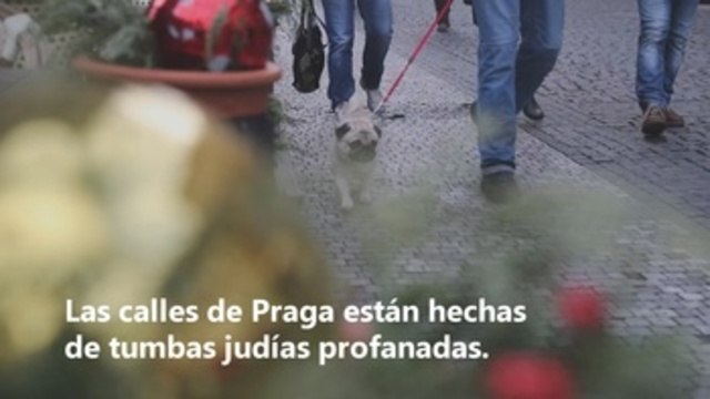 La comunidad judía de Praga recupera fragmentos de tumbas usados como pavimento
