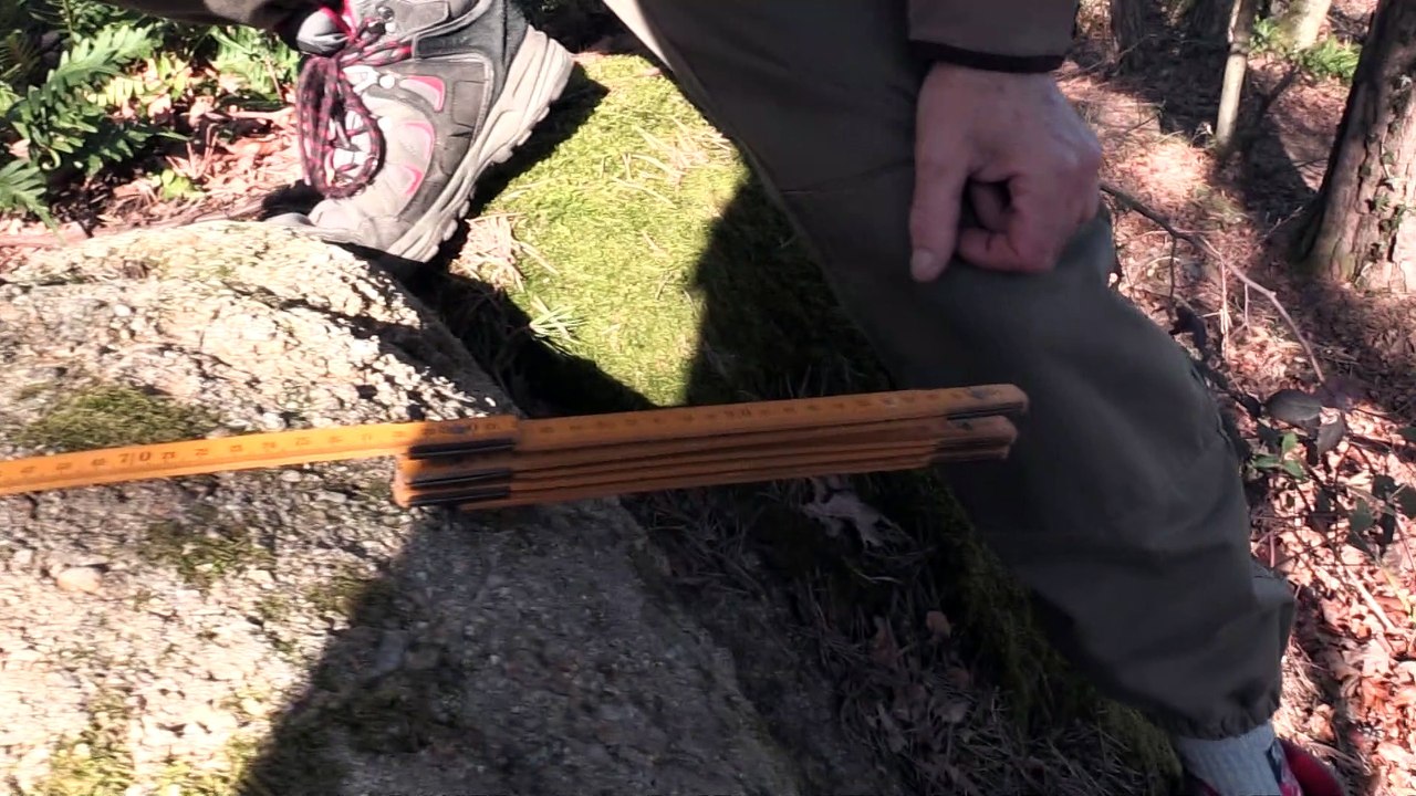 Roche-la-Molière : il découvre plus de 25 meules du Moyen-Âge