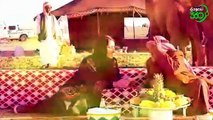 الإعلامية المبدعة نرجس العوامي ضيفة تيك 2 على سعودي 360