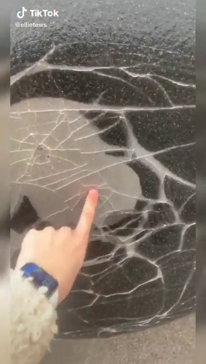 Viral on TIKTOK 2020