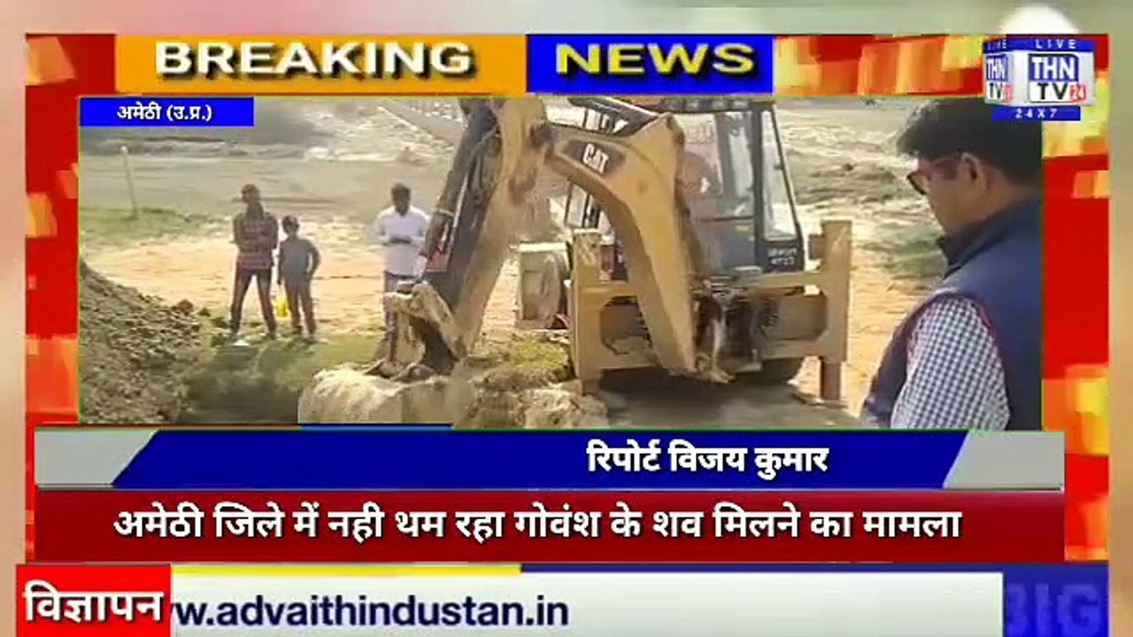 THN TV24 11 अमेठी जिले में नही थम रहा गोवंश के शव मिलने का मामला