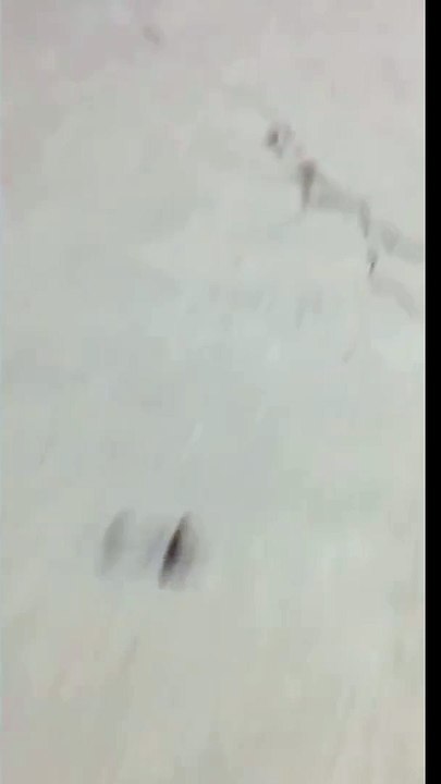 Skateboarder Does A Trick And Skateboard Hit Him In The Private Area