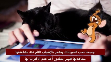 10 حيوانات من الممكن أن تقتلك حقًا