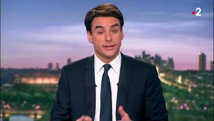 Covid-19 : deux des malades présents en France sont guéris