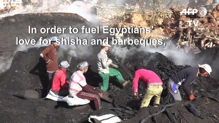 Smoke, soot and sweat: Egypt's charcoal workers