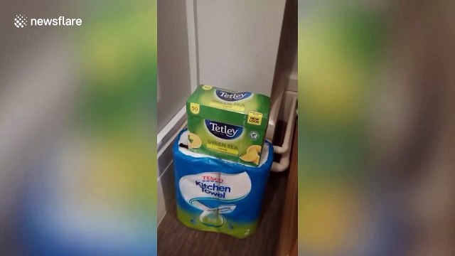 Patient's video diaries reveals life inside British coronavirus quarantine centre