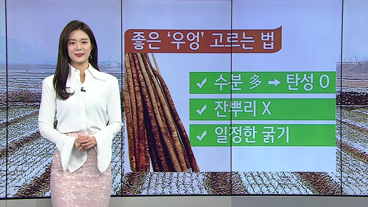 [날씨] 출근길 짙은 안개...수도권 미세먼지↑ / YTN