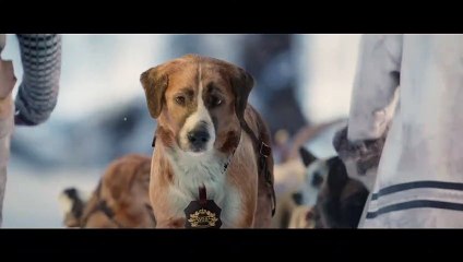 The Call of the Wild Movie Clip - New Lead Dog