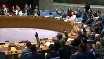 Conselho de Segurança pede cessar-fogo na Líbia