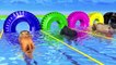 Learn Colors With Animal - Wild Animals In Outdoor Playground In Swimming Pool For Kids