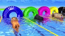 Learn Colors With Animal - Wild Animals In Outdoor Playground In Swimming Pool For Kids