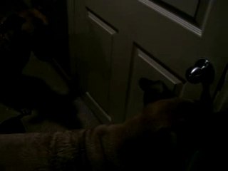 Chester and Hicks wanting Earl to come home safely.