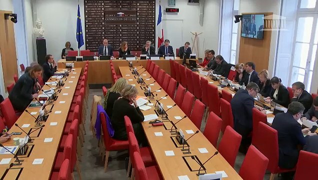 Commission des lois : Mission d'information sur l'immunité parlementaire ; Mme Florence Ribard, envisagée comme membre de la Haute autorité pour la transparence de la vie publique - Mercredi 12 février 2020