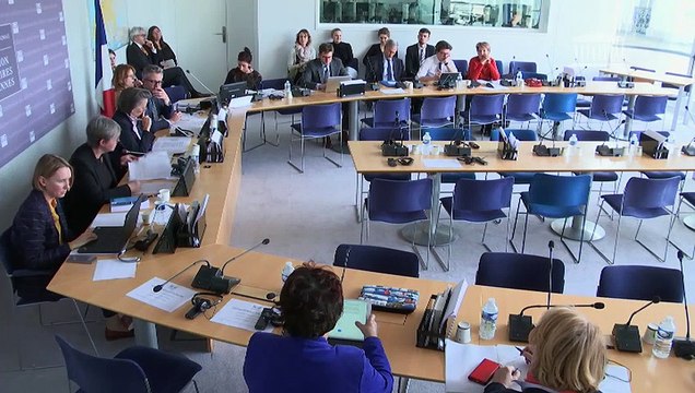 Commission des affaires européennes : Mme Christine Hennion sur la communication audiovisuelle ; M Virginijus Sinkevcius, commissaire européen à l'environnement, aux océans et à la pêche - Mercredi 12 février 2020